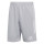 Team Light Grey/White