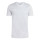 Team Light Grey/White