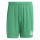 Team Green/White