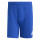 Team Royal Blue/White