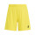 Team Yellow/Black