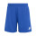 Team Royal Blue/White