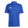 Team Royal Blue/White