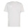 Team Light Grey/White