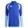 Team Royal Blue