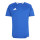 Team Royal Blue/White