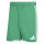 Team Green/White