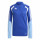 Team Royal Blue