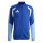 Team Royal Blue
