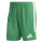 Team Green/White