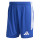 Team Royal Blue/White