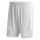 Team Light Grey/White