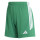 Team Green/White