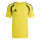 Team Yellow/Black