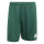 Team Dark Green/White