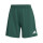 Team Dark Green/White