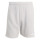 Team Light Grey/White