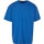 Cobalt Blue
