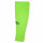 Green Gecko