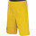 Yellow/Black