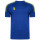 Royal/Yellow