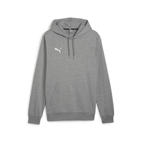 Puma Team Goal Casuals Hoody