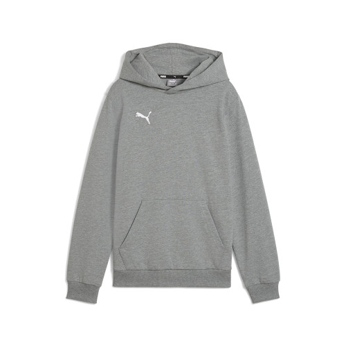 Puma Team Goal Casuals Hoody