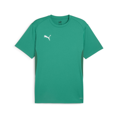 Puma Team Goal Jersey