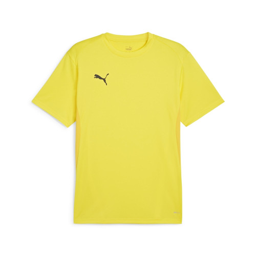 Puma Team Goal Jersey