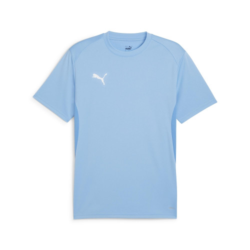Puma Team Goal Jersey