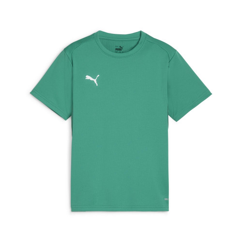 Puma Team Goal Jersey