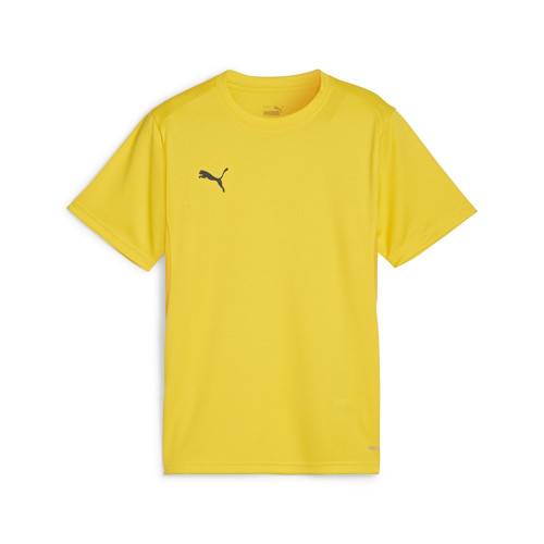 Puma Team Goal Jersey