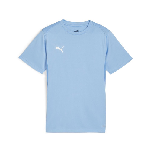 Puma Team Goal Jersey