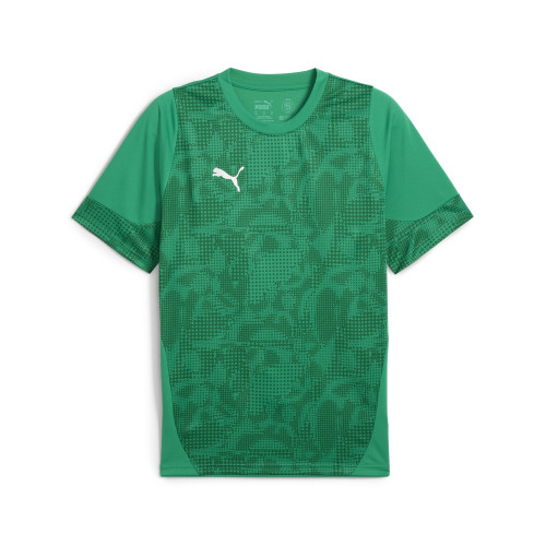 Puma Team Cup Training Jersey