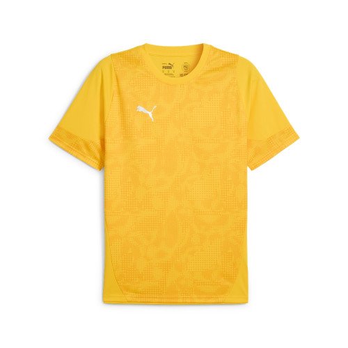 Puma Team Cup Training Jersey