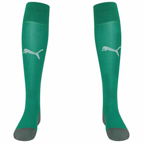 Puma Liga Core Socks