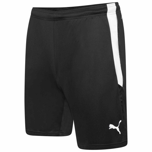Puma Team Liga Shorts