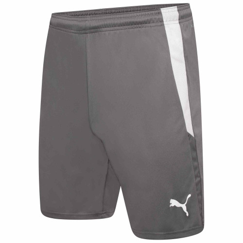 Puma Team Liga Shorts