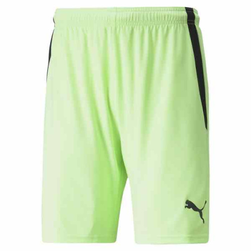 Puma Team Liga Shorts