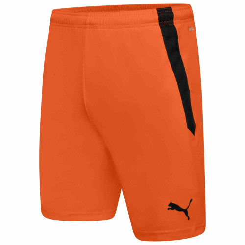 Puma Team Liga Shorts