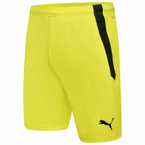 Puma Team Liga Shorts