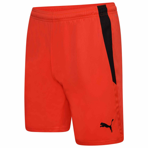 Puma Team Liga Shorts
