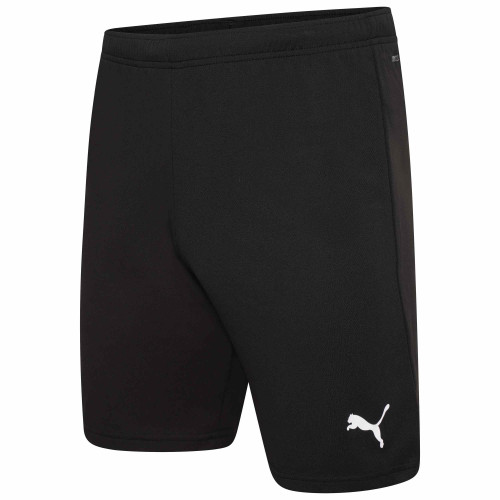 Puma Team Rise Shorts