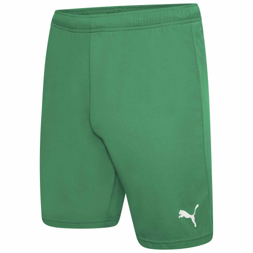 Puma Team Rise Shorts-Pepper Green - Puma White-13-14YR