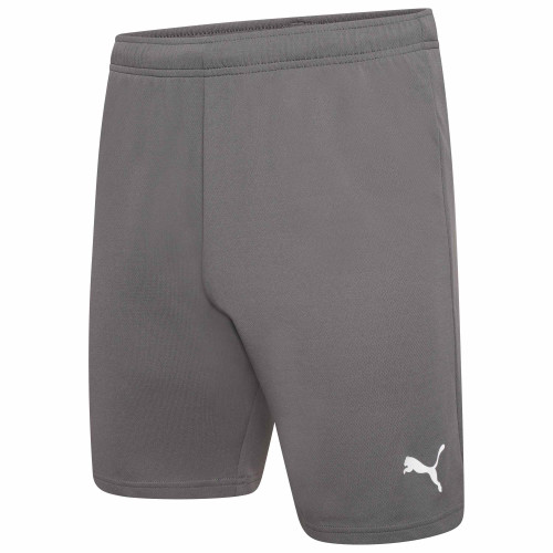 Puma Team Rise Shorts-Smoked Pearl - Puma White-L