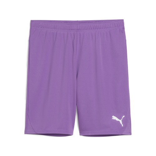 Puma Team Goal Shorts