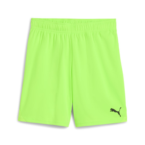 Puma Team Goal Shorts