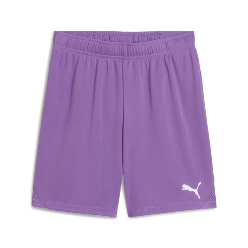 Puma Team Goal Shorts