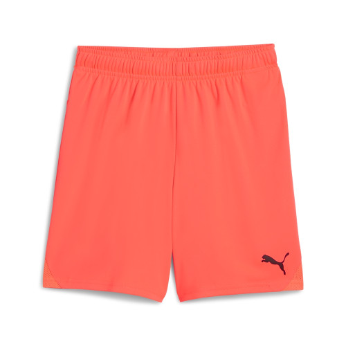 Puma Team Goal Shorts