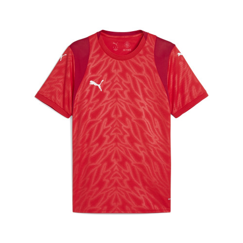 Puma Team Cup Jersey